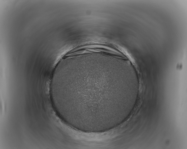 X0000090720010200707271202