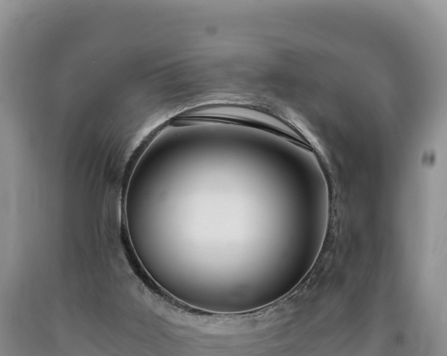 X0000090720011200707271202
