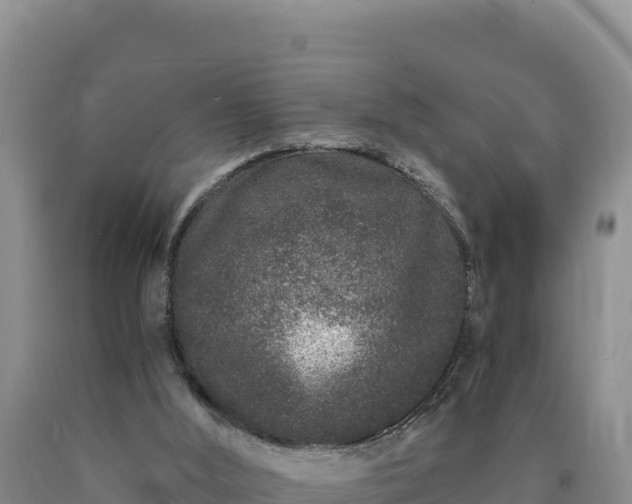 X0000090720012200707271202