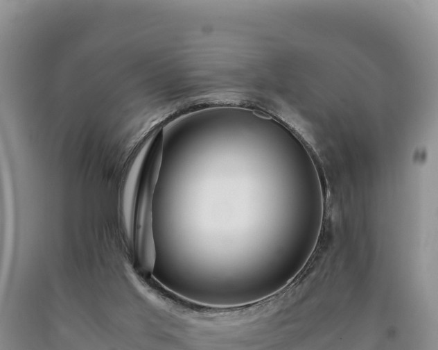 X0000090720013200707271202