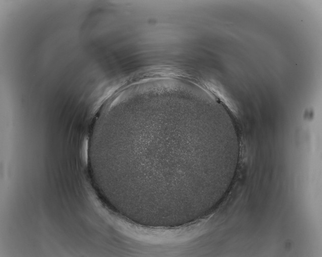 X0000090720014200707271202