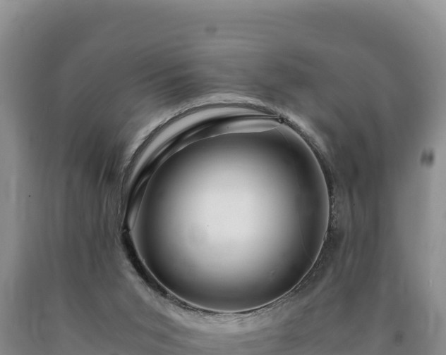X0000090720015200707271202