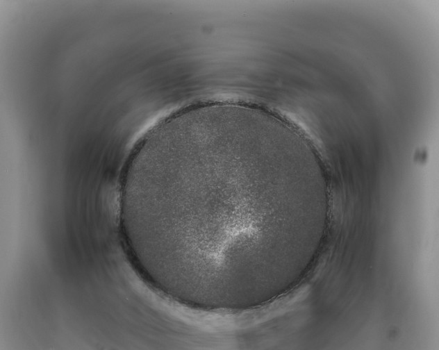 X0000090720016200707271202