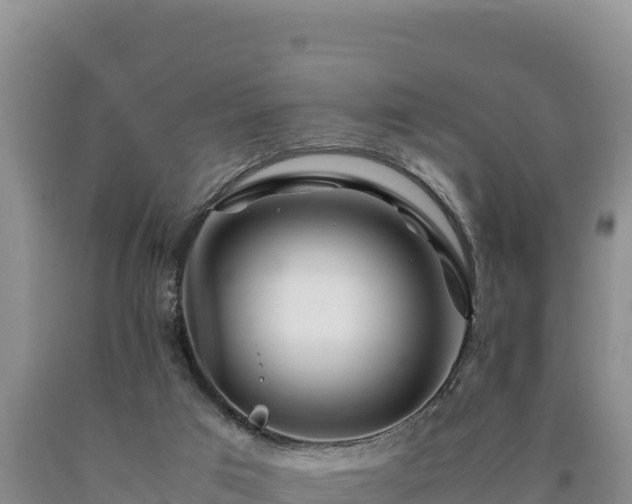 X0000090720017200707271202
