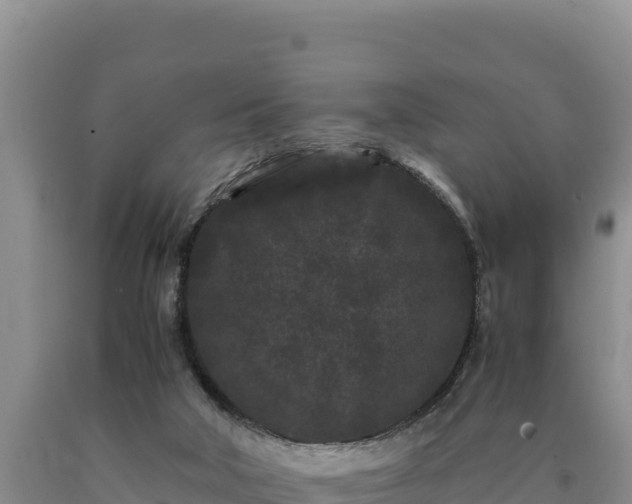 X0000090720018200707271202
