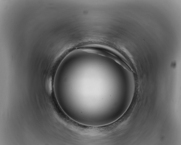X0000090720020200707271202