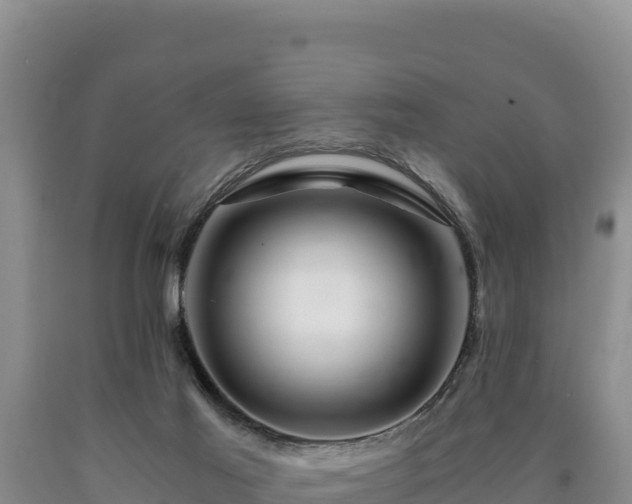X0000090720021200707271202