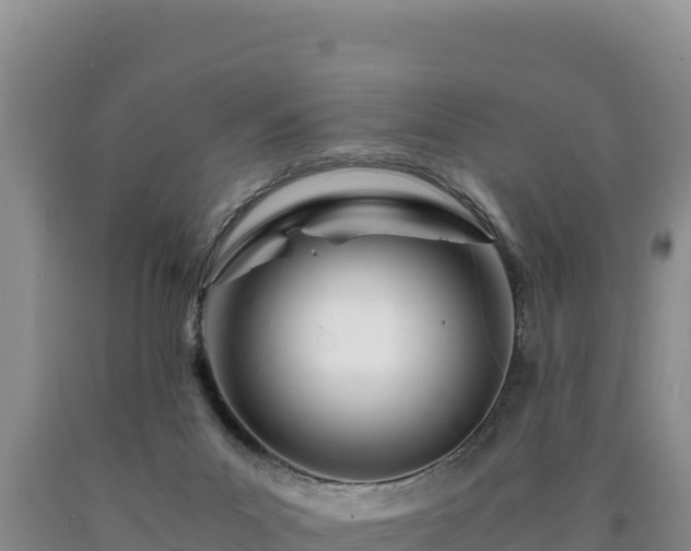 X0000090720023200707271202
