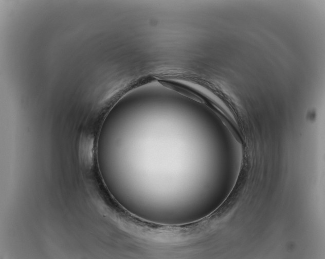 X0000090720024200707271202
