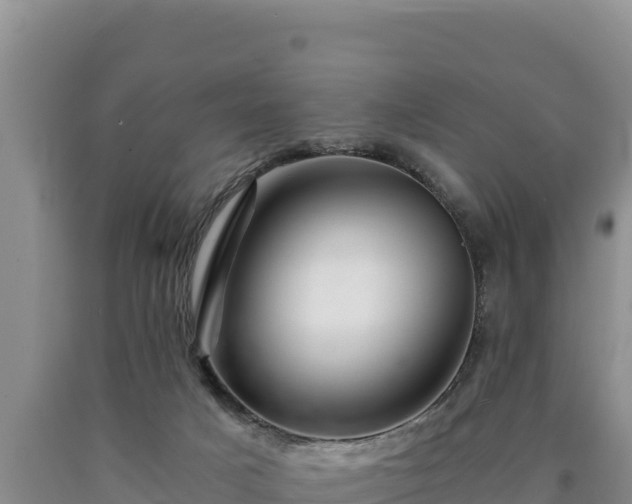 X0000090720025200707271202