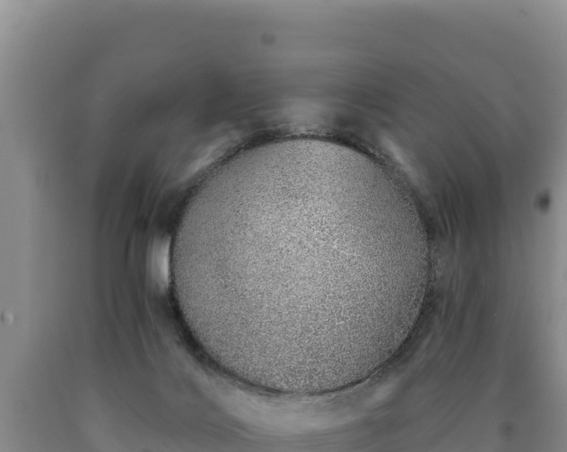 X0000090720028200707271202