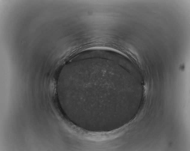 X0000090720029200707271202