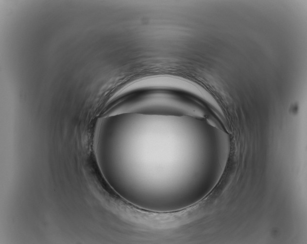 X0000090720031200707271201
