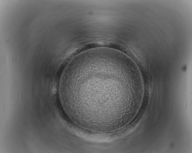 X0000090720032200707271201