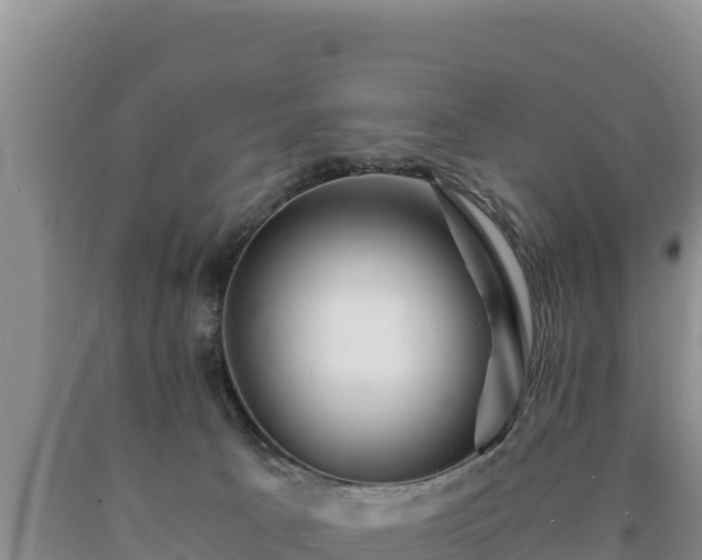 X0000090720033200707271201