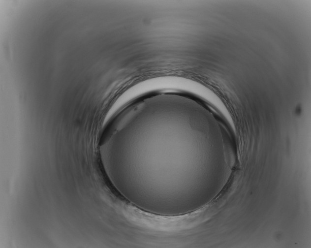 X0000090720035200707271201