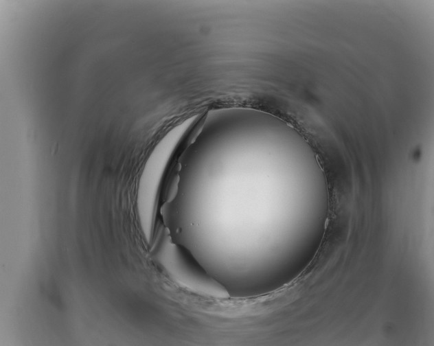X0000090720037200707271201