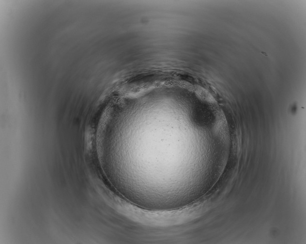 X0000090720038200707271201