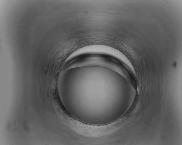 X0000090720039200707271201