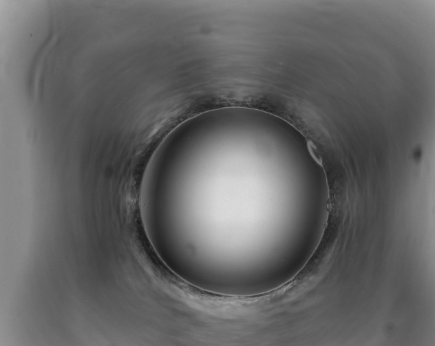 X0000090720040200707271201