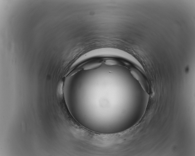 X0000090720041200707271201