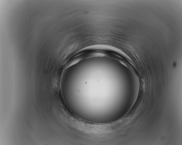 X0000090720044200707271201