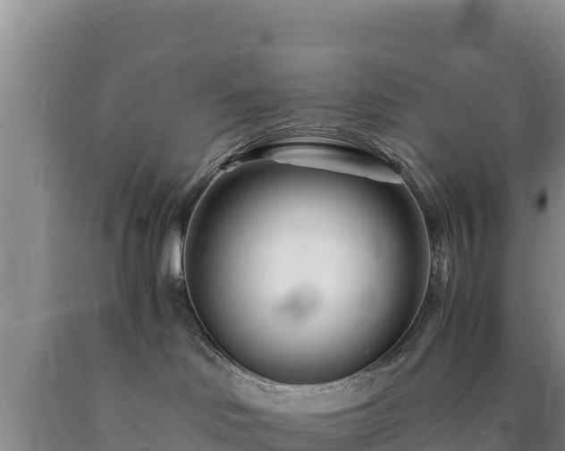 X0000090720046200707271201