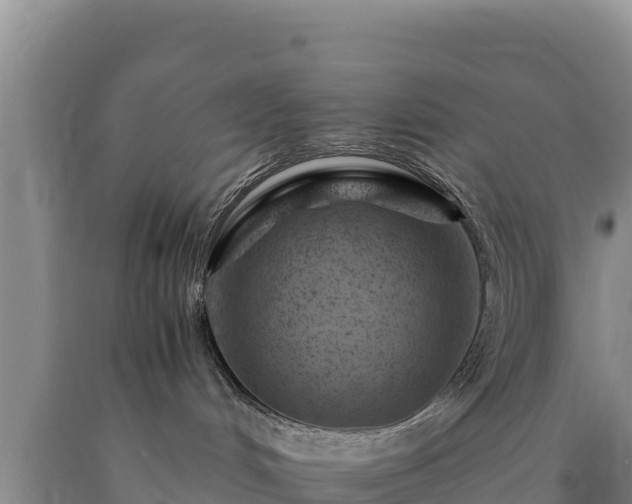 X0000090720048200707271201