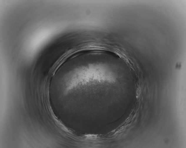 X0000090720052200707271201