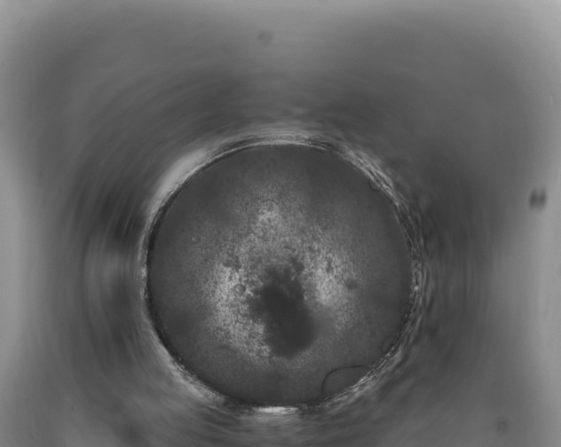 X0000090720053200707271201