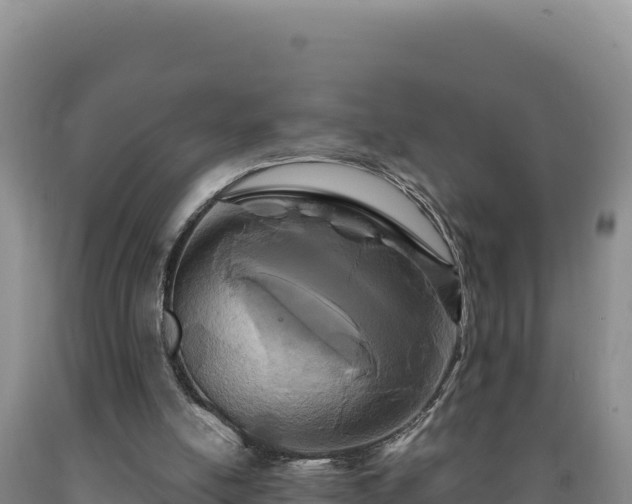 X0000090720054200707271201