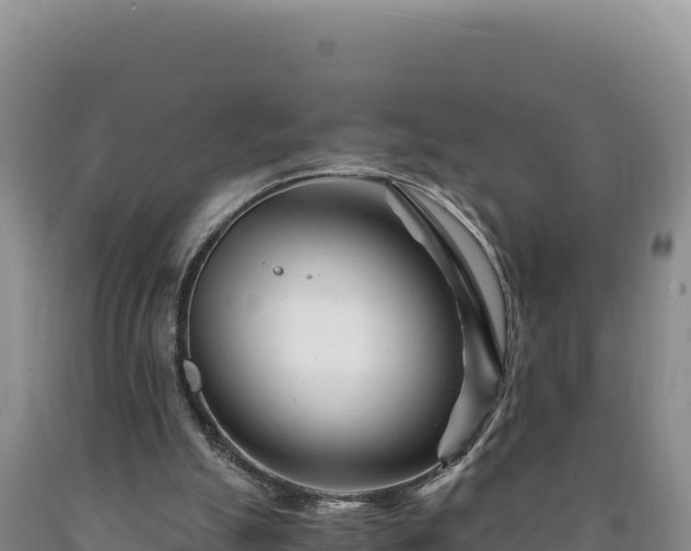 X0000090720055200707271201