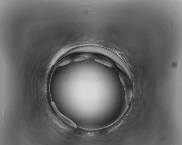 X0000090720056200707271201