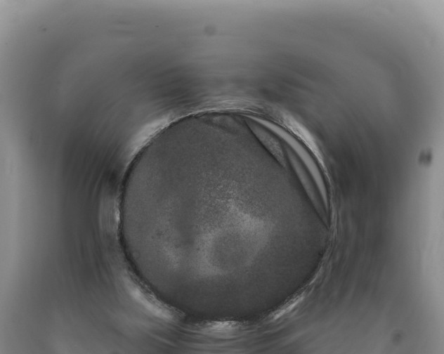 X0000090720059200707271201