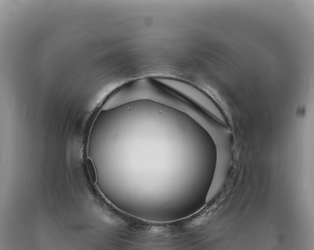 X0000090720060200707271201