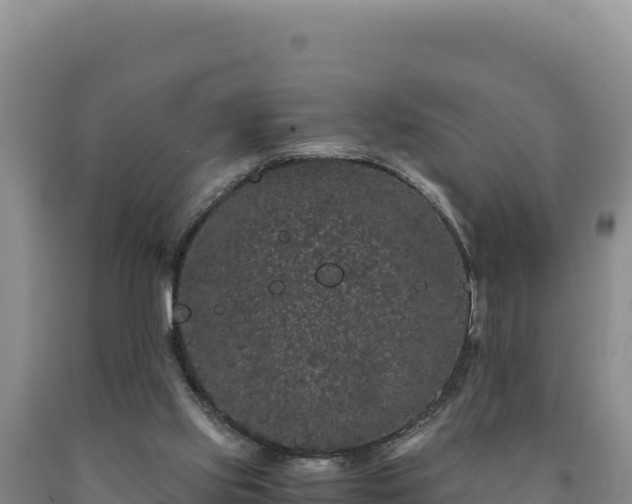 X0000090720061200707271201