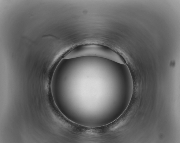 X0000090720064200707271201