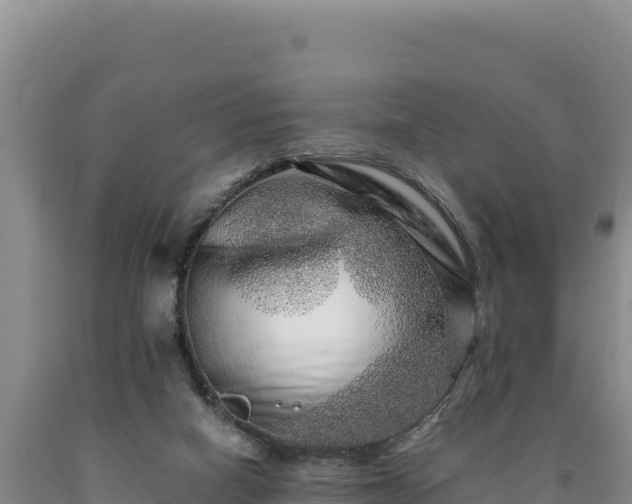 X0000090720066200707271201