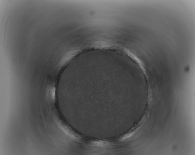 X0000090720067200707271201