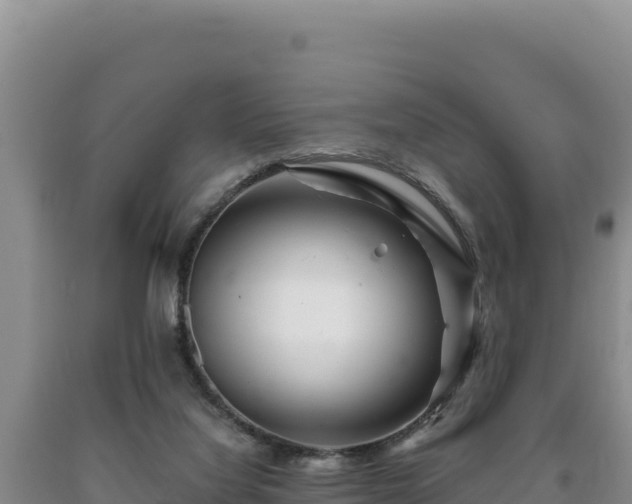 X0000090720068200707271201