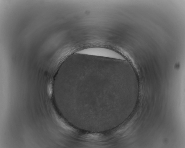 X0000090720069200707271201