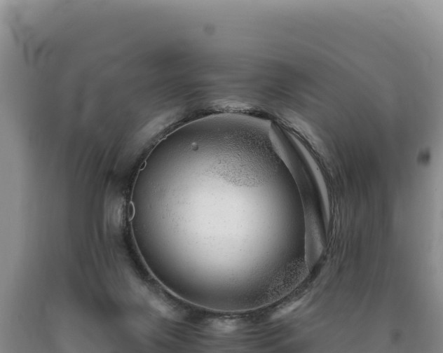 X0000090720071200707271201