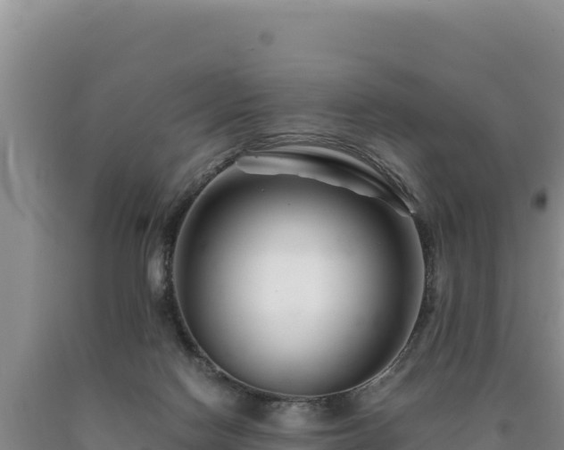 X0000090720074200707271201