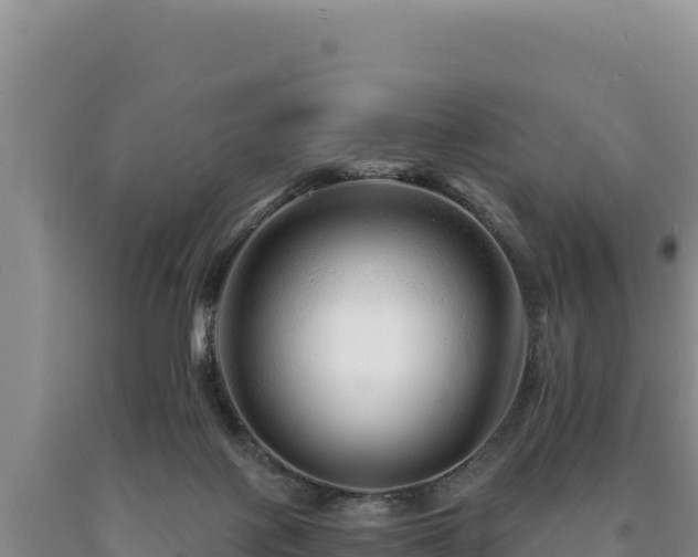 X0000090720075200707271201