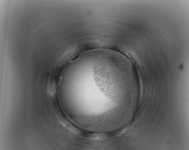 X0000090720077200707271201