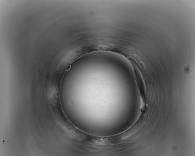 X0000090720079200707271201