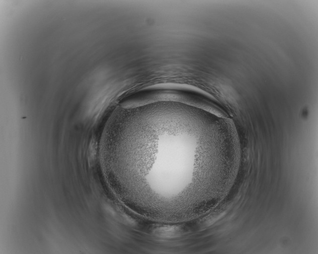 X0000090720081200707271201