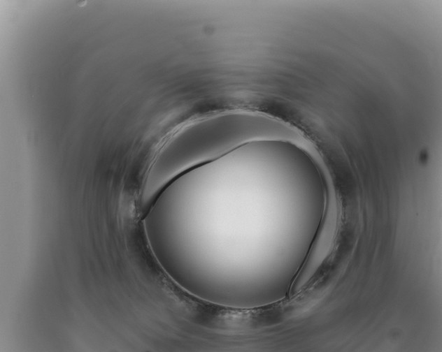X0000090720084200707271201