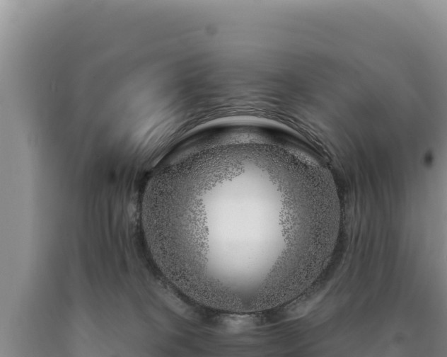 X0000090720085200707271201