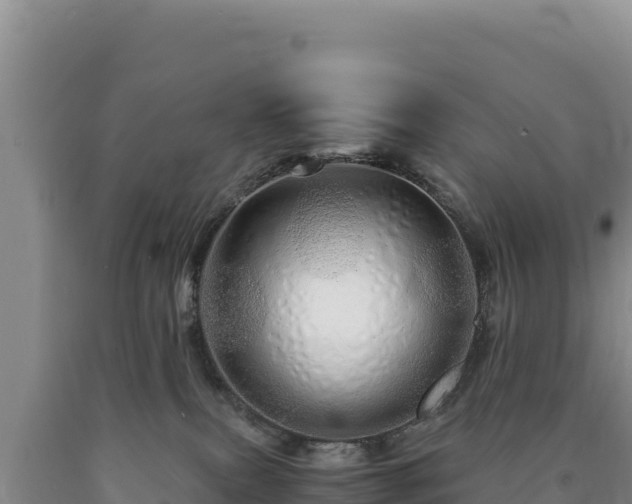 X0000090720087200707271201